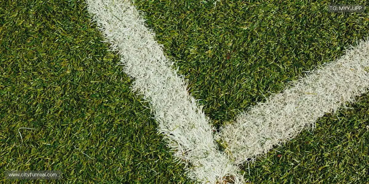 实时直播，超清体验📺